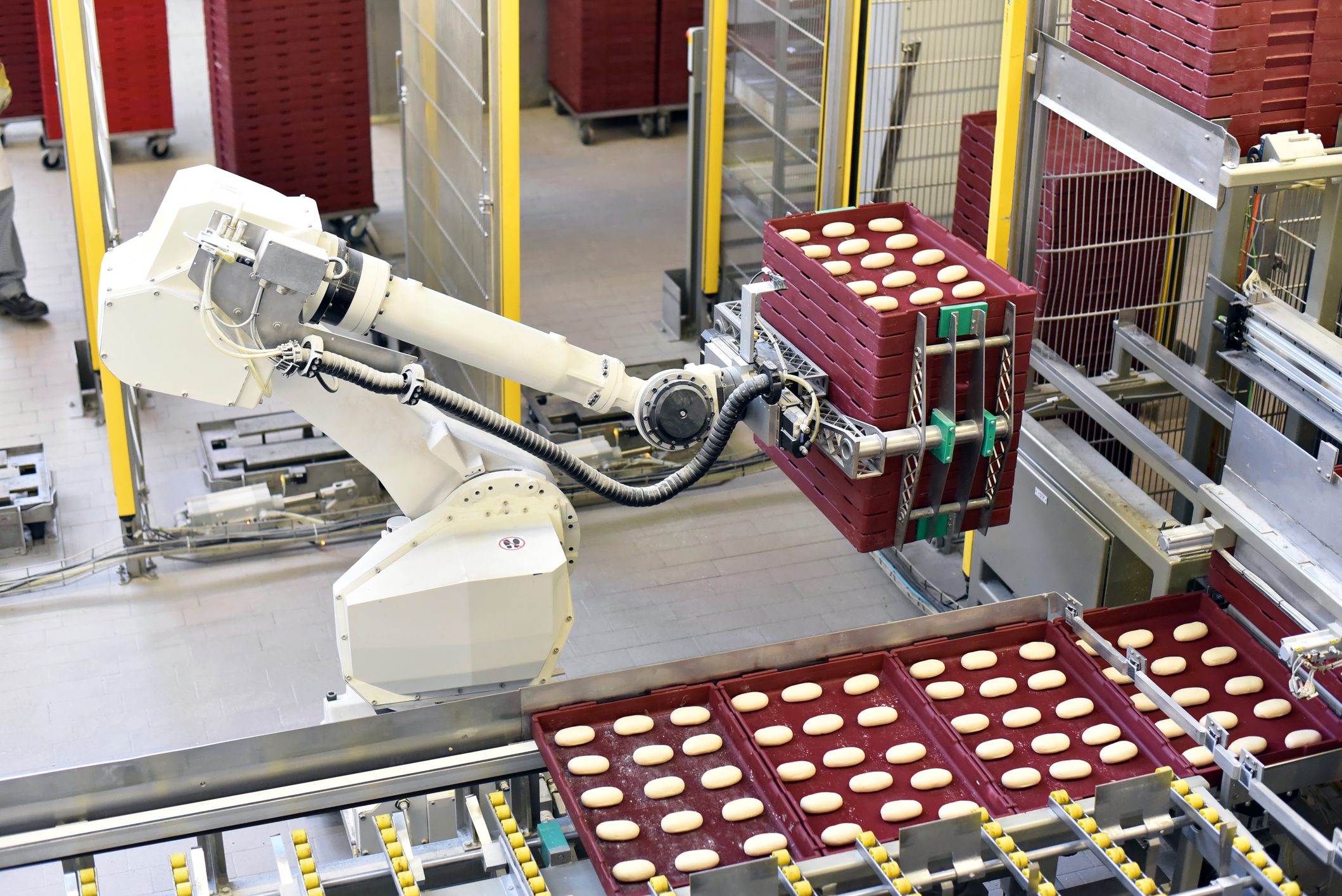 industrial production of bakery products on an assembly line - technology and machinery in the food factory